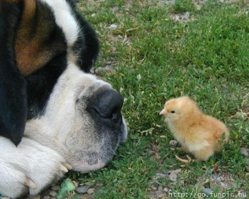 ..k padart dienu neparastu.....
k izrauties no ierast ...
k ...