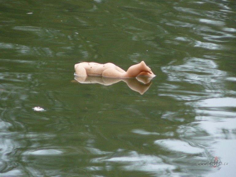 Taa nu vish i.
kursh no dziives aiziet peec savas gribas, kursh ne ...