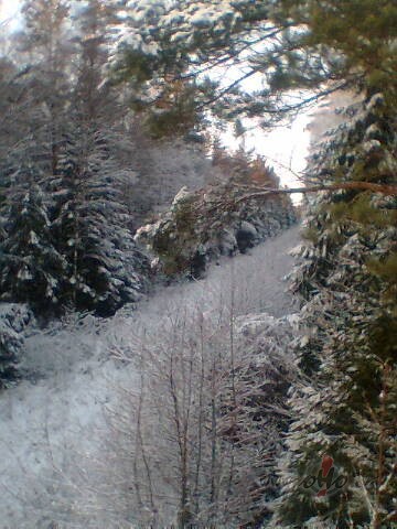 Nekur citur&nbsp;nav t�ds skaistums k� piesnigu�� me��... un t�ds ...