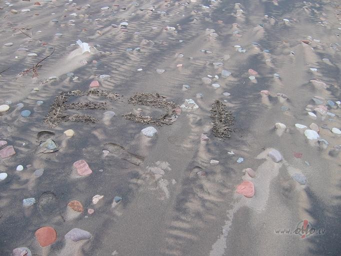 Tikko pavad�ju savu d�lu saimi, vienam no vi�iem
�odien bija ...