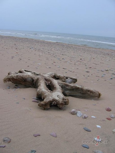 Ievilka mani atkal vien� grup�jum� un pavilk�s pr�tojumi- k�p�c, ...