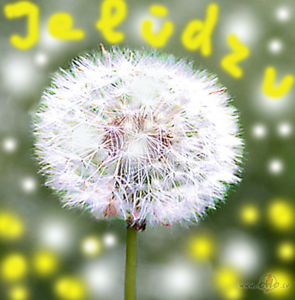 Liels liels paldies v�lreiz visiem, kas ats�t�ja man tik
m��us ...