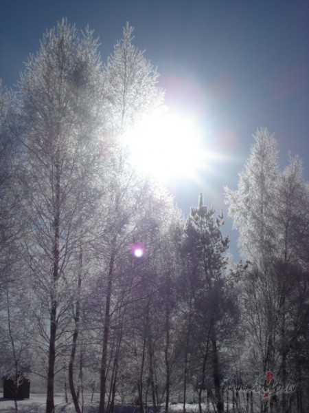 Sak�r�u savas gai��k�s domas
K� naktslukturus logos,
Lai pa�a ...