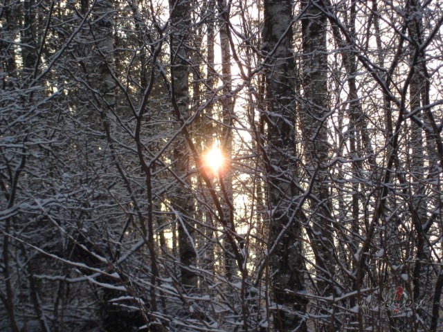 Darbgads aizvad�ts ar godu ! :) Tagad j�s�k kas amizanti t�kams dar�t ...