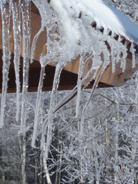 Uz Jauno gadu d�v�sim
Cits citam labus v�rdus m�s,
Lai tie pavisam ...