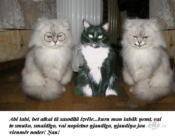 J�, izv�le sag�d� lielas gr�t�bas, pied�v�jums tik liels un ...