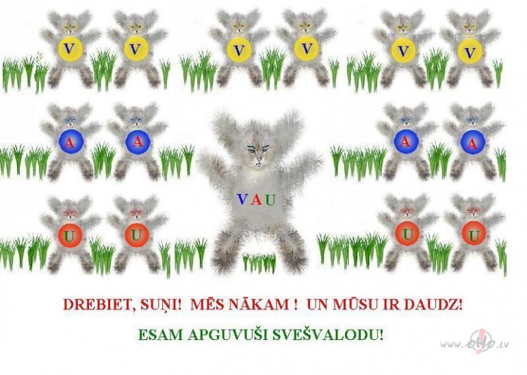 Sve�valodu apguvu�i, rind�s st�jamies, m�s uz iz��iro�o c��u ...