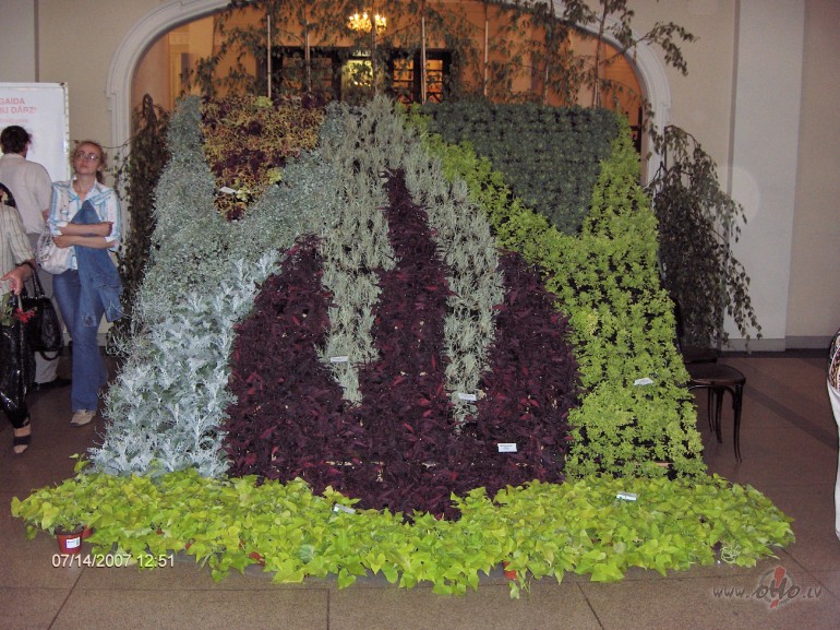 Jau atkal sevi pie��ru pie domas, nu nevelc to vezumu tik lielu, ...