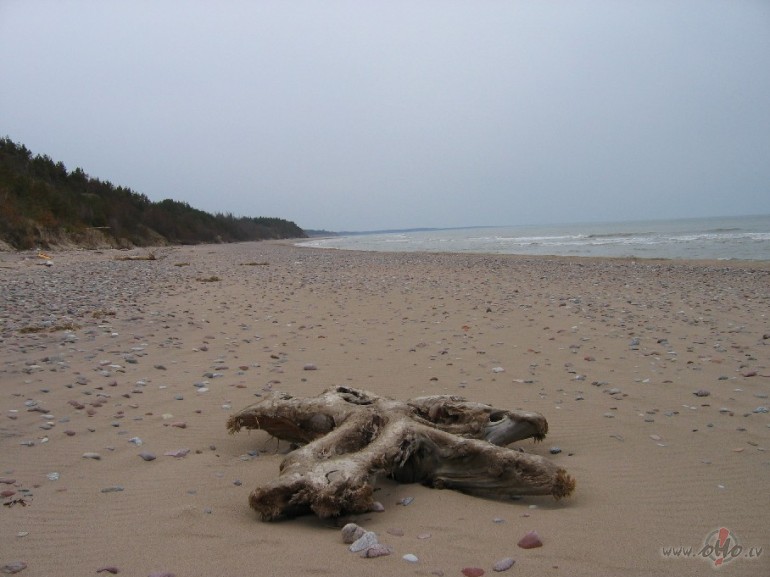 K�ds patiess prieks par �o t�kamo dienu !!! Lai ar�&nbsp;v�lme b�t ...