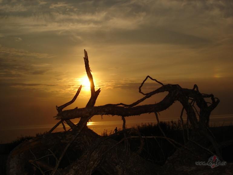 ..........man ieteica kliegt klus�jot................sev� es ...