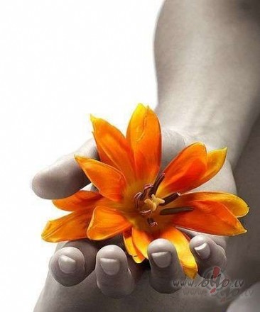 Es tauri�a sp�rniem
Tev pieskar�os ... mazliet
un klusum� t�l�k ...