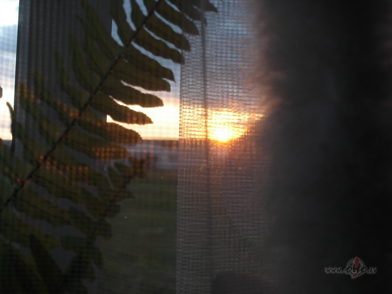 Viss, es ejmu mekl�t �iseni:) Gana run�ts, gana koment�ts, ...