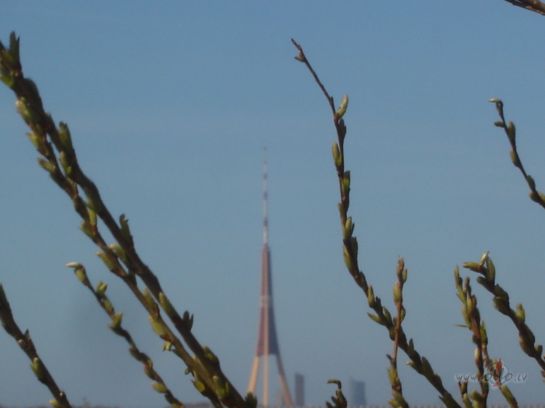 Jums labi ? Man ar� !!!&nbsp;