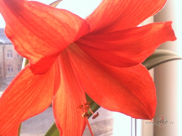 Maz vajag, lai rastos motiv�cija cit�m ac�m skat�ties uz ...