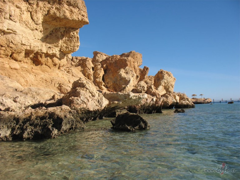 Following your dream is like learning a foreign language; you will ...