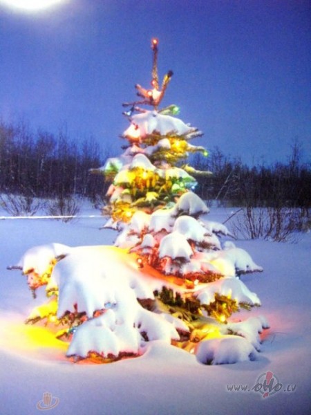 T�ds skaistums v�l �ogad nebija redz�ts!! Nav ar ko iem��in�t. �oferi ...