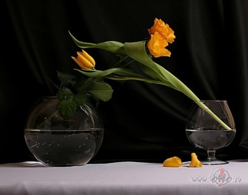 M�s visi ,l�dz s�p�gam r�gtumam, esam �oti vientu�i! T� ir tikai ...
