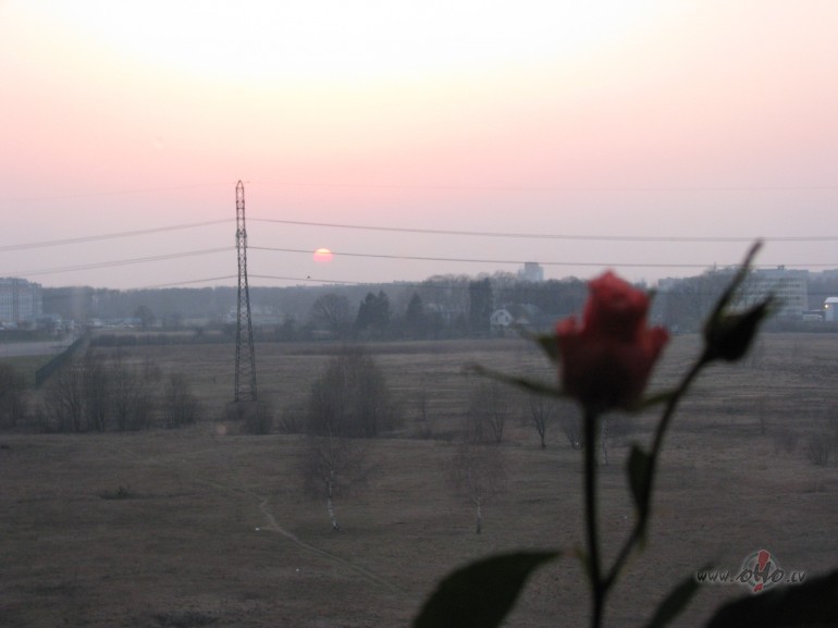 Vien� dien� divi gadlaiki- no r�ta ziema, ap pusdienlaiku jau atkal ...