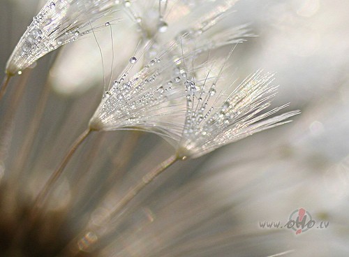 No t�da sk�psta noreibt var
Un aizmald�ties pasaul�
Pa norasotu ...