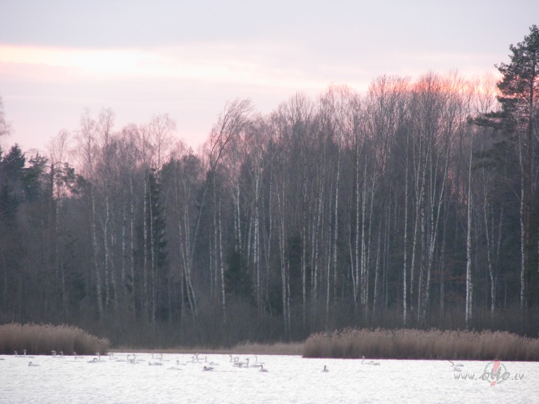 Br�vdienas pavad�tas pasakzem�- svaigs gaiss, v�jelim ir kur ...