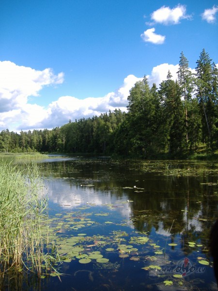 Ir dv�selet�ds sav�ds d�rzskur visu laiku kaut kas notiekv�l ...