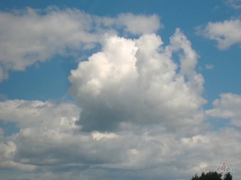 Jauna ned��a s�kusies. Saul�te atkal pa��musi br�vdienas.Liepas zaros ...