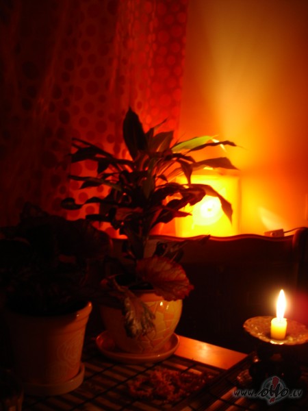 Ir v�rie�i, ko nobauda k� delikatesi, ta�u kop� ar t�diem nedz�vo... ...