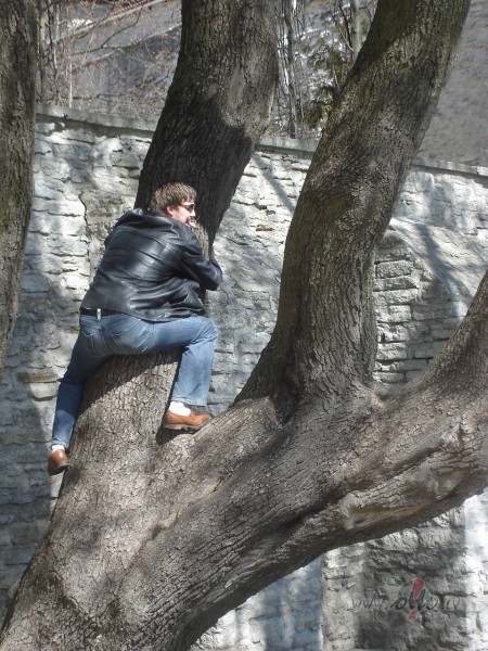 Hmmm, j�, sieviete un nauda- abas, sp�j iedarbin�t v�rie�a ...