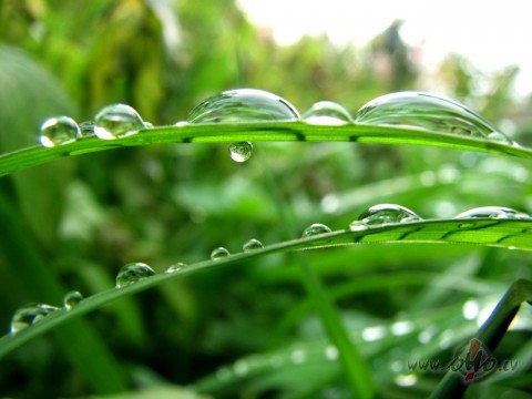 Nu k� Tu t� vari?
Tik gau�i p�ri man dari,
Nezin vai lietus sird� ...