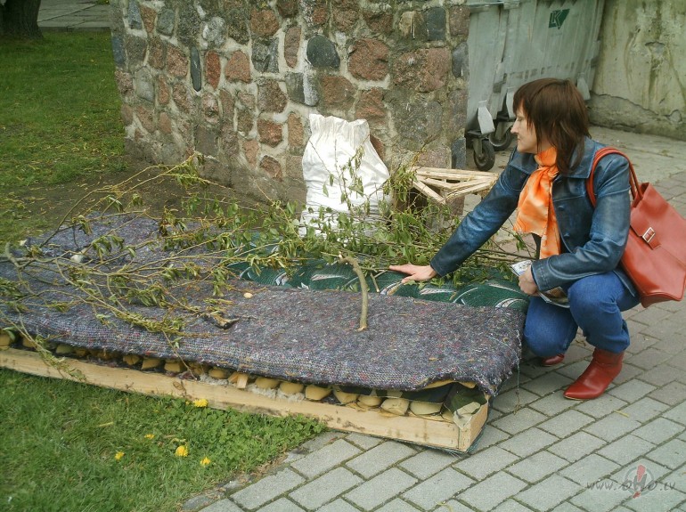 Biju uz izst�di- m�ja, interjers, dizains!!! Re ku atradu jaunu ...