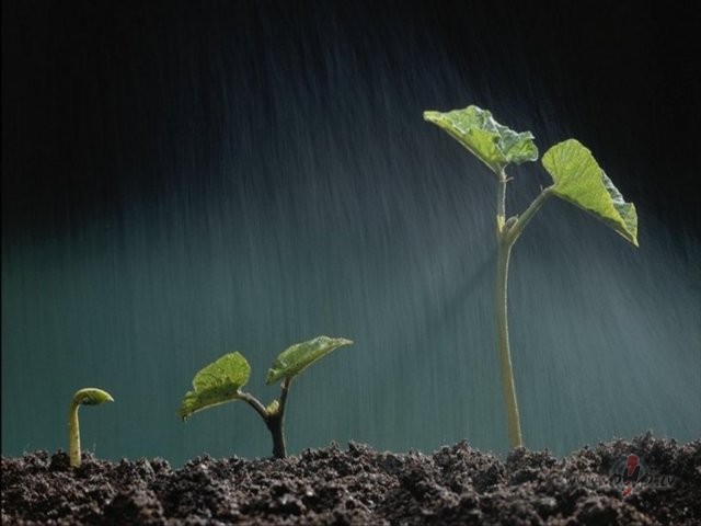 V�l vakar dom�ju ,ka �aj� Univers� viss ir simetrisks,harmonisks ...