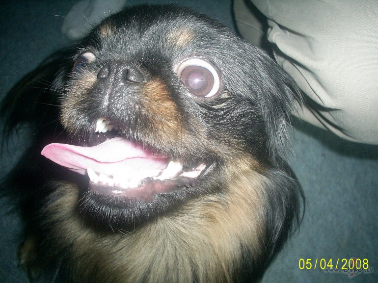 Ramzess visiem saka- at�, at�!!!!/iet tais�t �ener�lt�r��anu/