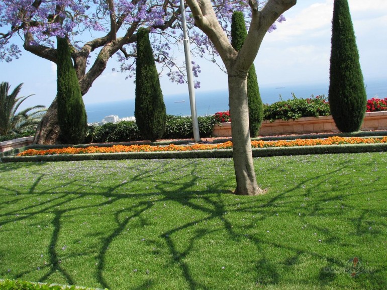 K� tagad t�kotos atlaisties �aj� za�aj� maur���, p�`v�rst acis debes� ...