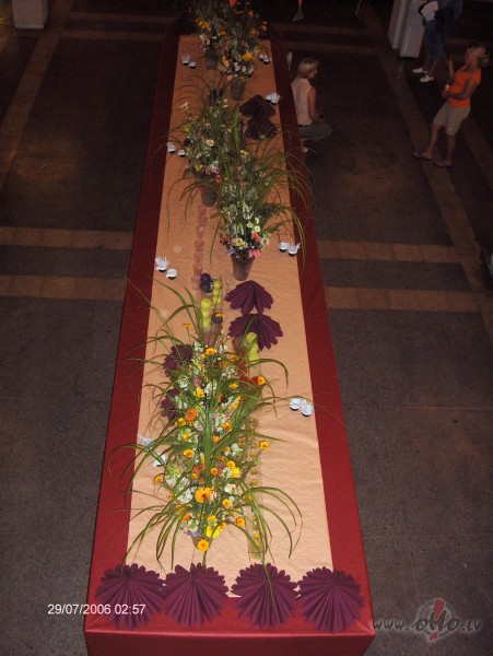 Uhhhh....205 Dv��i un Dv�nes �odien ir OHO jubil�ri.......ka padom�, ...