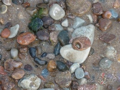 Tas ce�sh,no manis pie tevis,
Len�m s�ks aizaugt ....
Aizaugt ar ...