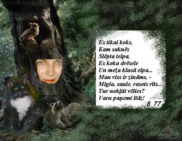 &nbsp;�or�t&nbsp;bija jauks r�ts, t�da b�s ar� diena, vakar� m�s ...