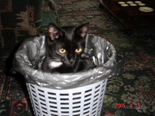 Labr�t, �odien labs laiks str�d��anai (pareiz�k sakot, laika ...
