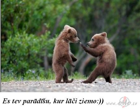 
KO ES PROTU
es protu burt tikai ar skatienu vienuar smaidu siltu ...