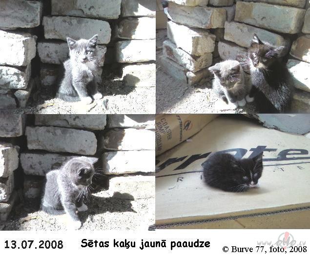 Atkal bildes:))