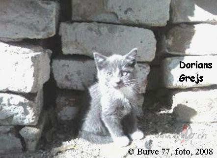 Mums ir viens skaistulis s�t�...