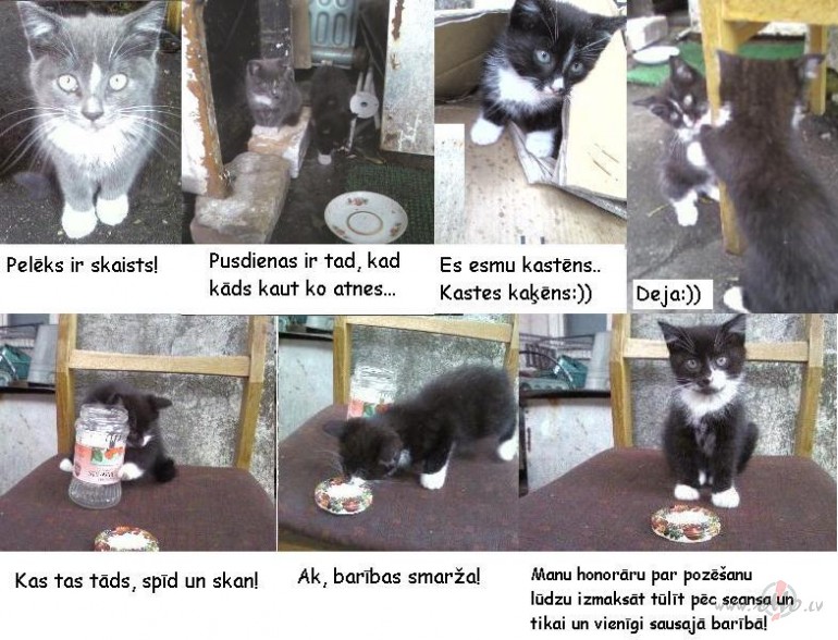 Labr�t! Viesojos darb� pie interneta, ir ar� jauni foto. Man par ...