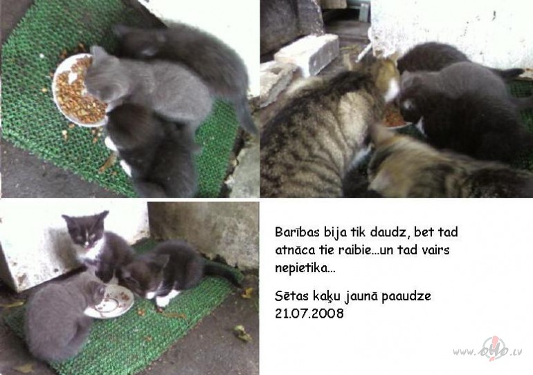 V�l mode�i:))