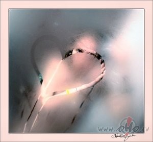 Dv�sel� skumjas man mezglus sien,
Da�br�d diena pat pel�ka ...