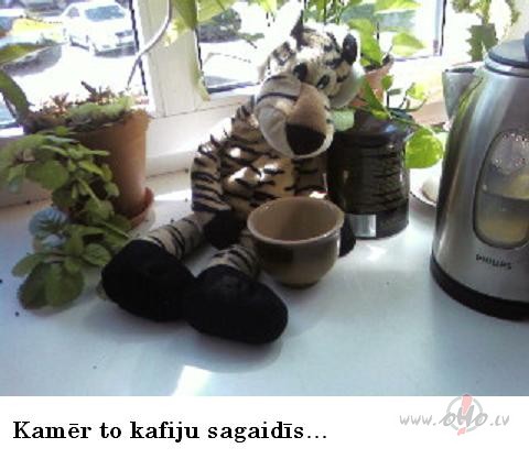 Kafijas pauze, kafijas pauze...cik ilgi var gaid�t, kam�r tas �dens ...