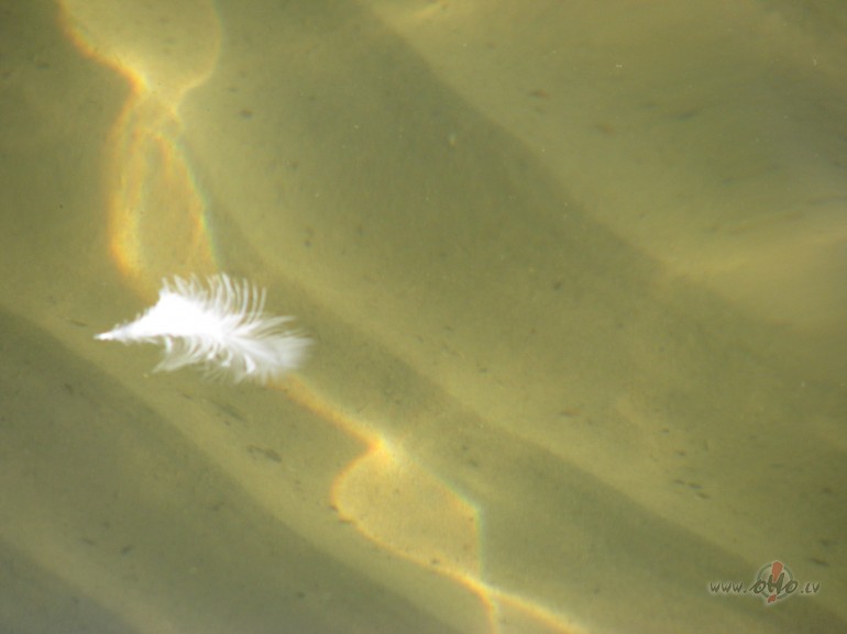 Es neprotu no��lot to, kas bijis un pag�jis. Es varu kaut k� v�rt�t ...