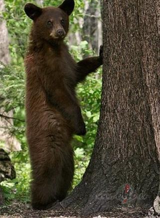 Nu, ko skaties?! Mums me�� nav p�rvietojamo tuale�u:)))