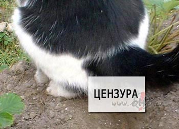 �or�t� Ohuja tauta izklaus�s t�da nikni un pesimistiski ...