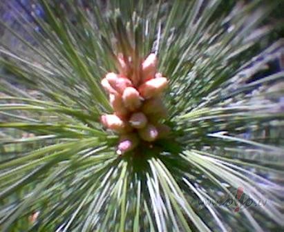 &nbsp;Neaizg�ju turp, kur mani gaida...Tagad pati j�tos nej�dz�gi ...