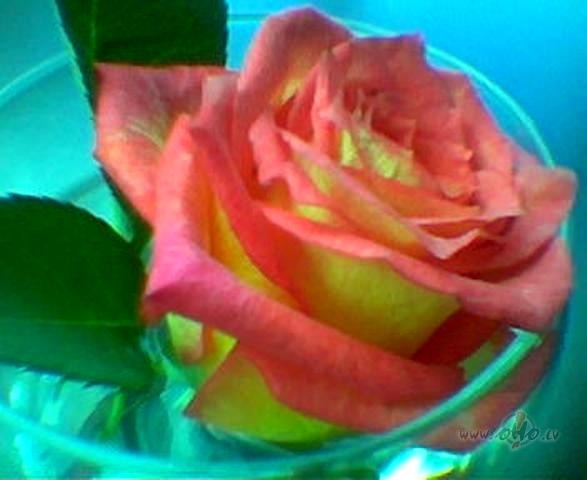 &nbsp; V�rietis ilgi un dedz�gi lenc sievieti, vis�di izr�da vi�ai ...