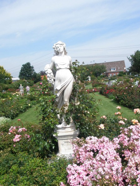 Smadze�u apjoma un kr��u apjoma summa sieviet�m parasti ir konstants ...